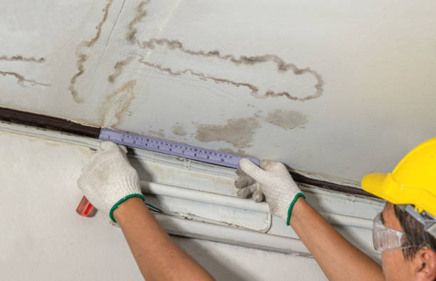 Reliable Mold Remediation contractor in Richwood, LA by Water Damage Irwin